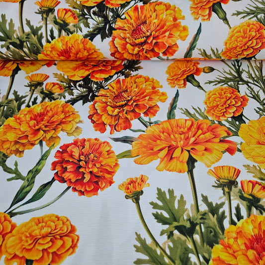 Half panama Cempasúchil fondo blanco