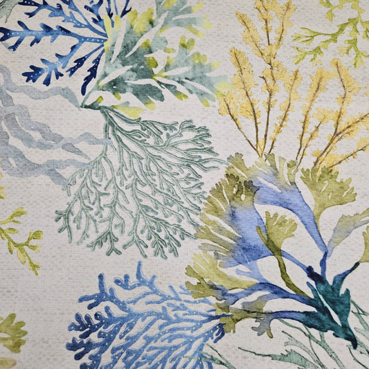 Half panama - Arrecife