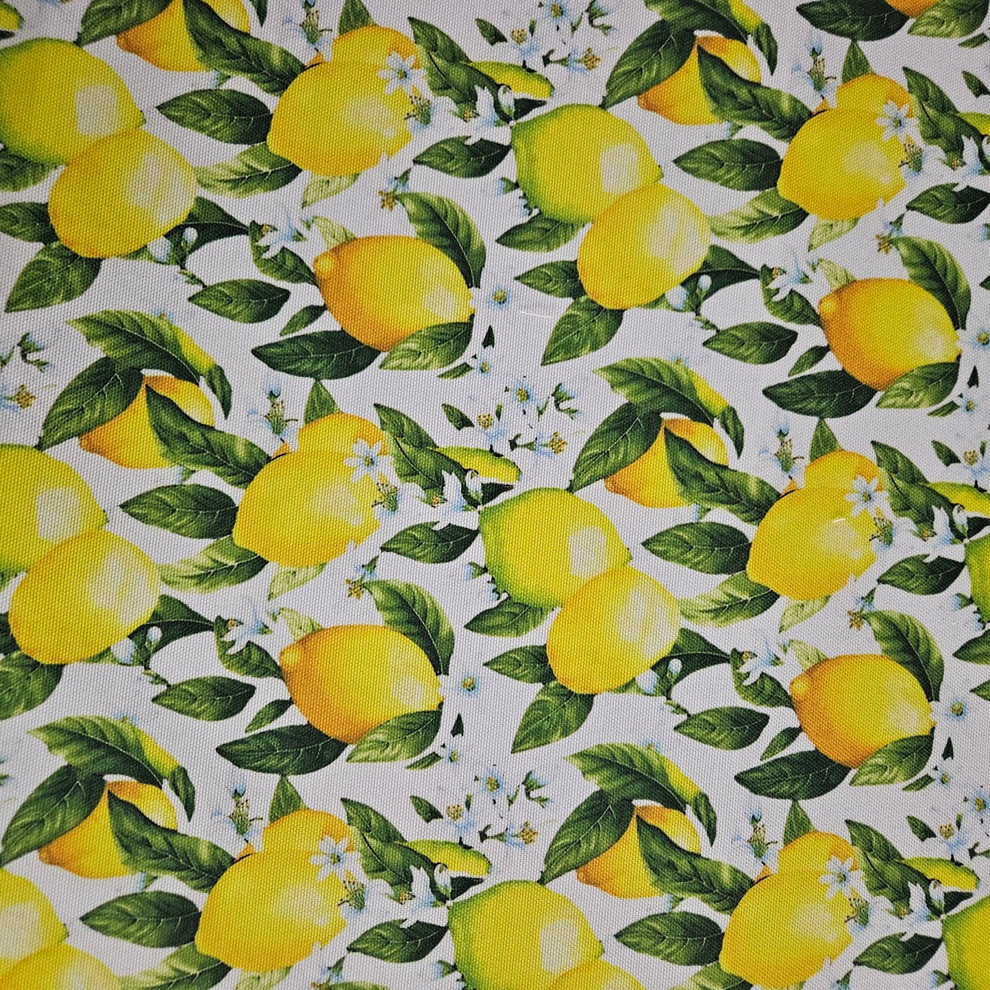 Half panama - Limones con Hoja