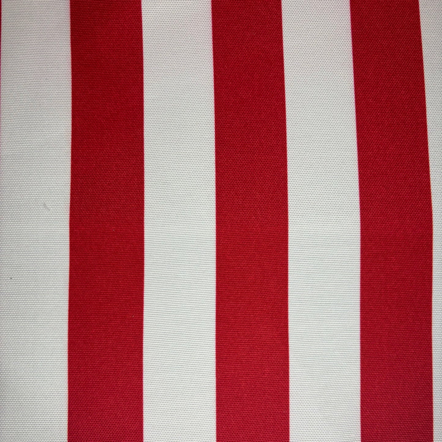 Half Panamá - Candy Cane