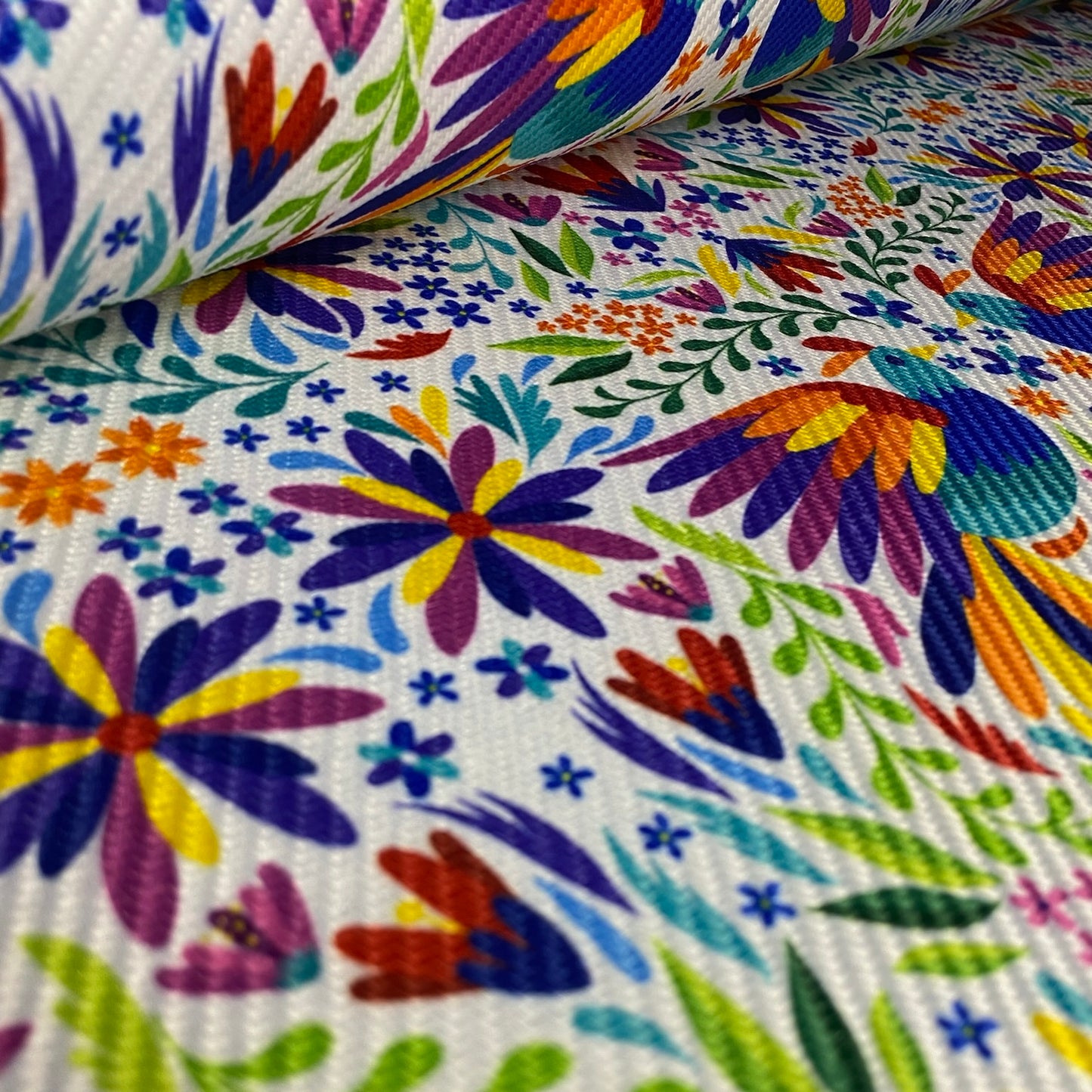 Gaucho - Otomi tzibi M.