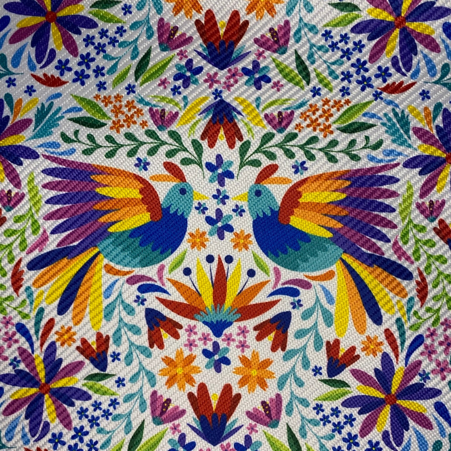 Gaucho - Otomi tzibi M.