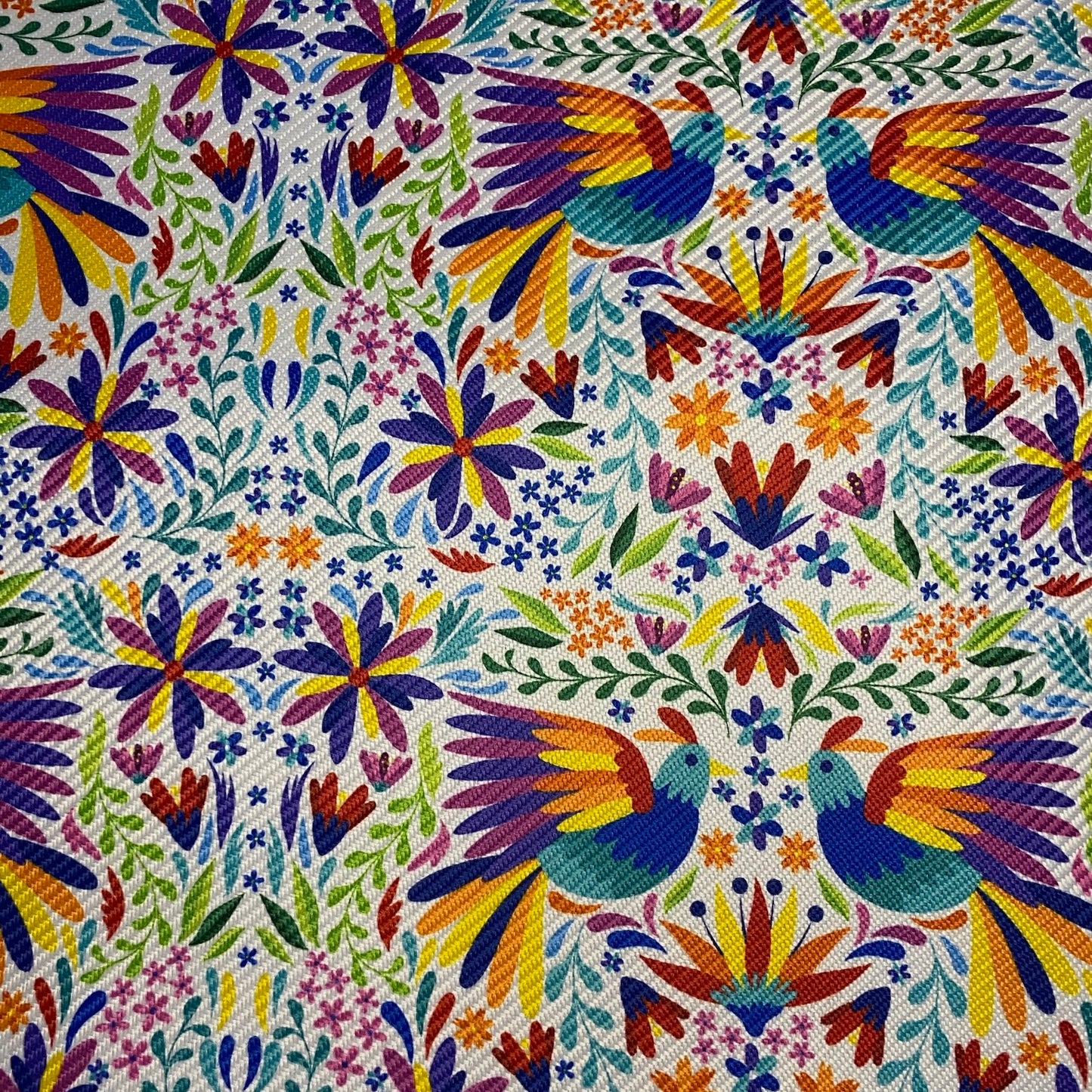 Gaucho - Otomi tzibi M.