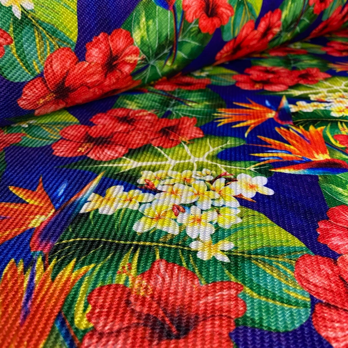 Gaucho - Hibisco