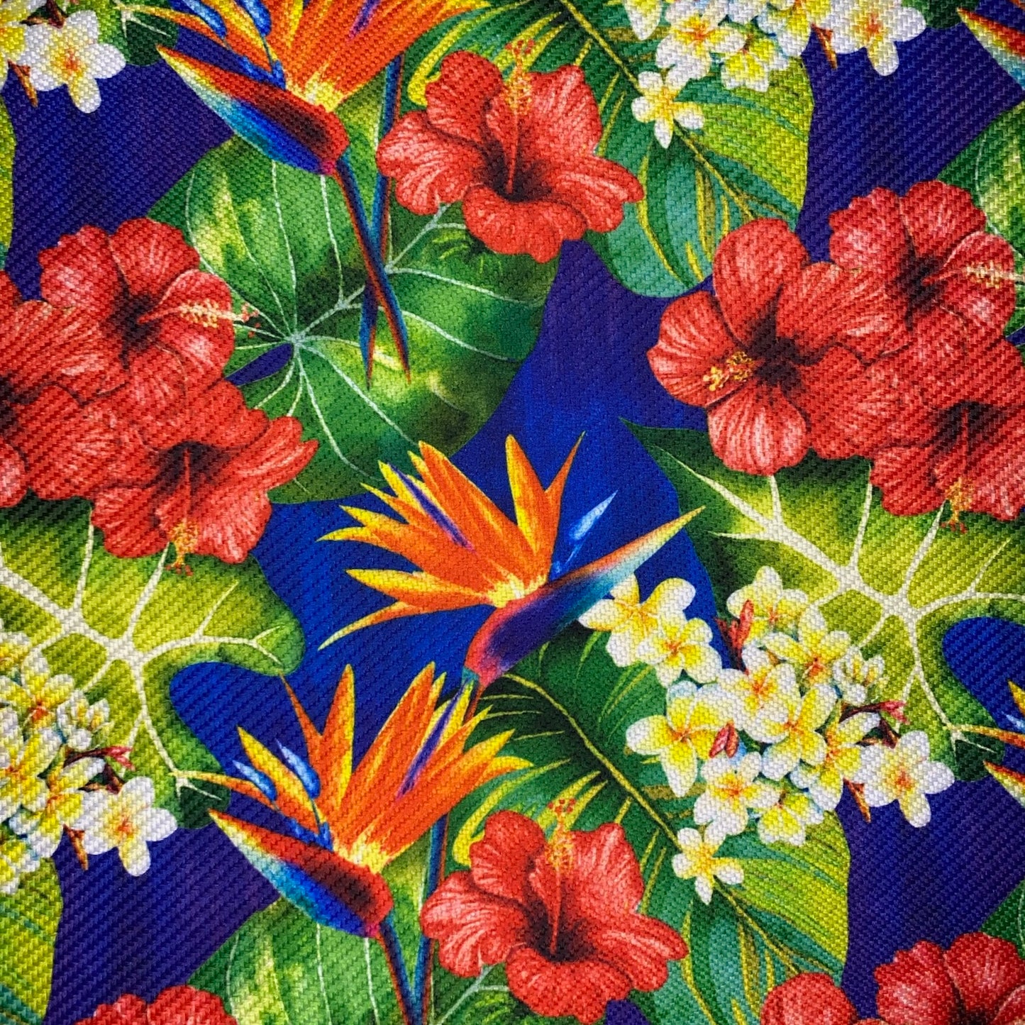 Gaucho - Hibisco