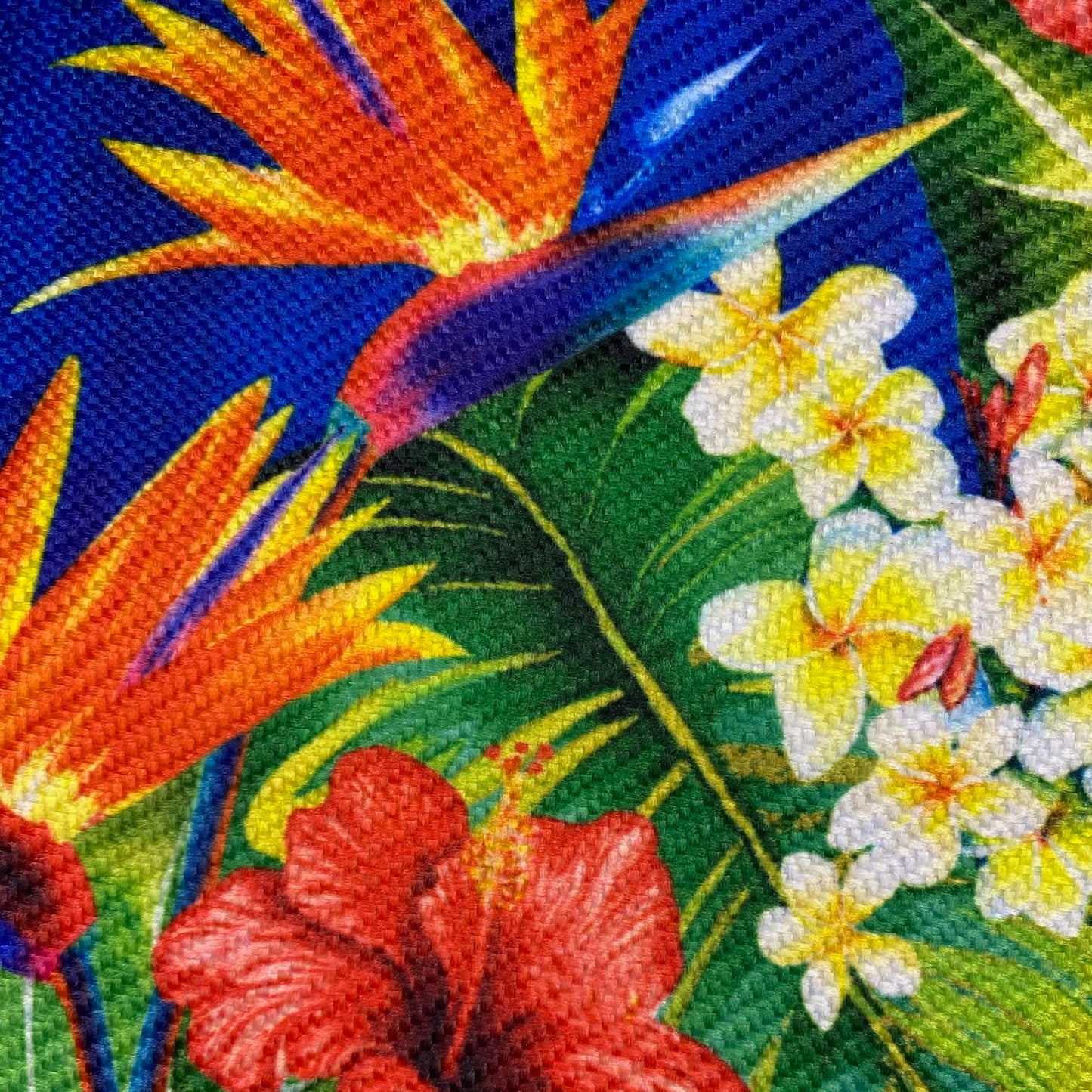 Gaucho - Hibisco