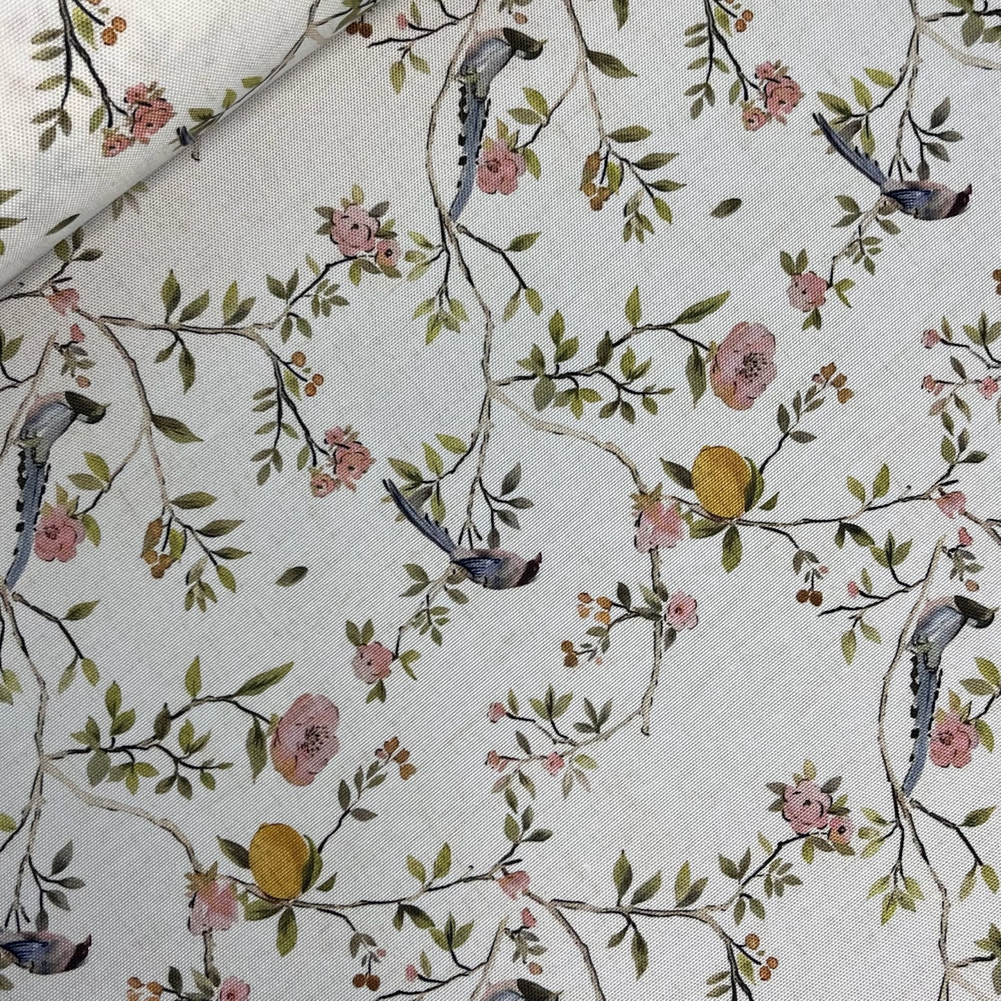 Half Panama pajaro y limon