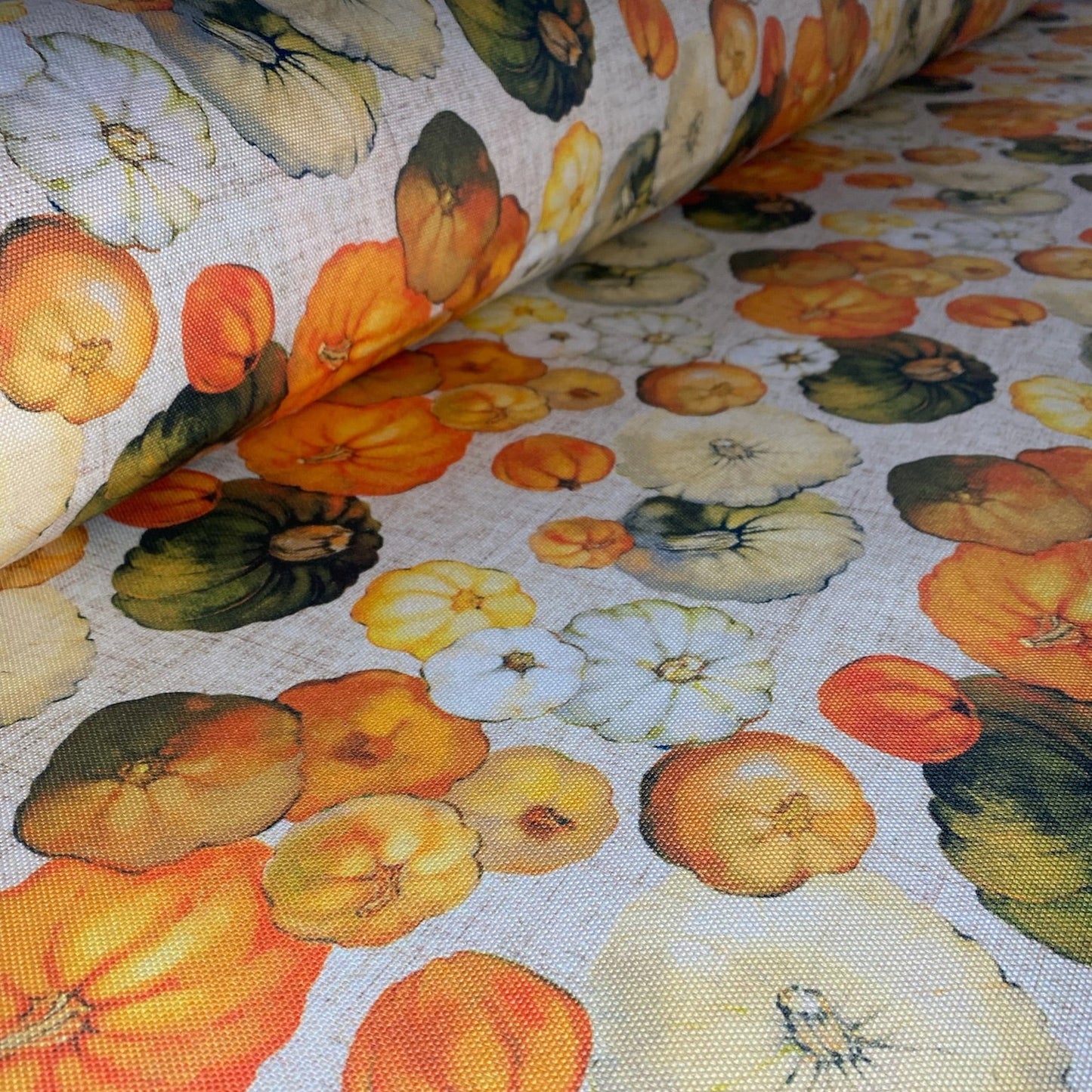 Half Panama Pumpkin multicolor