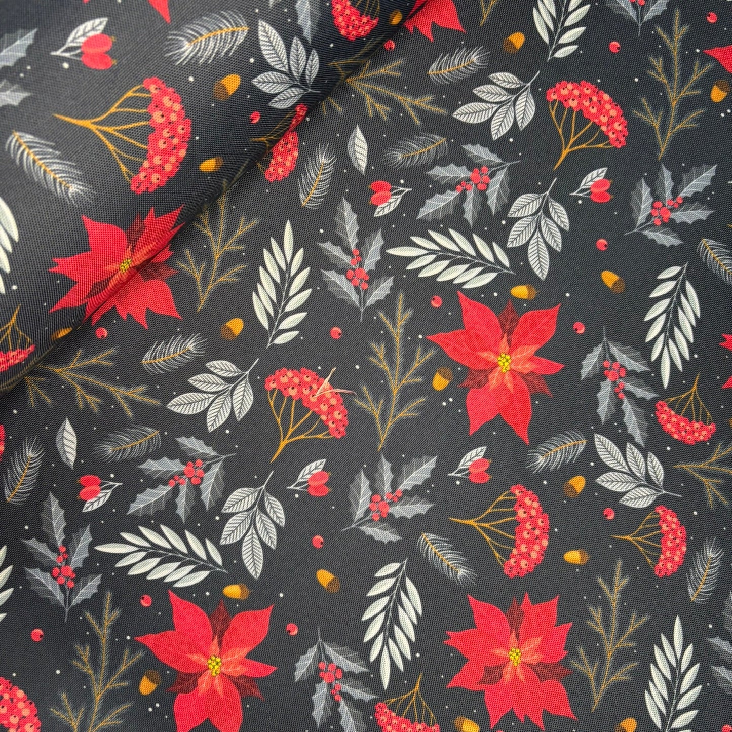 Half Panamá Navidad 15