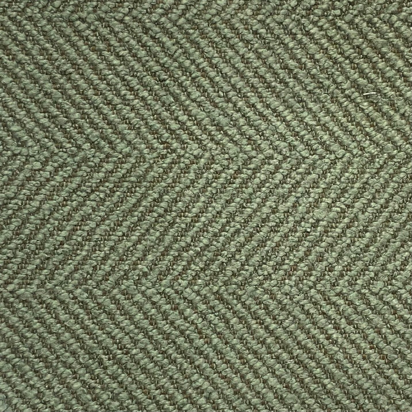 Grass