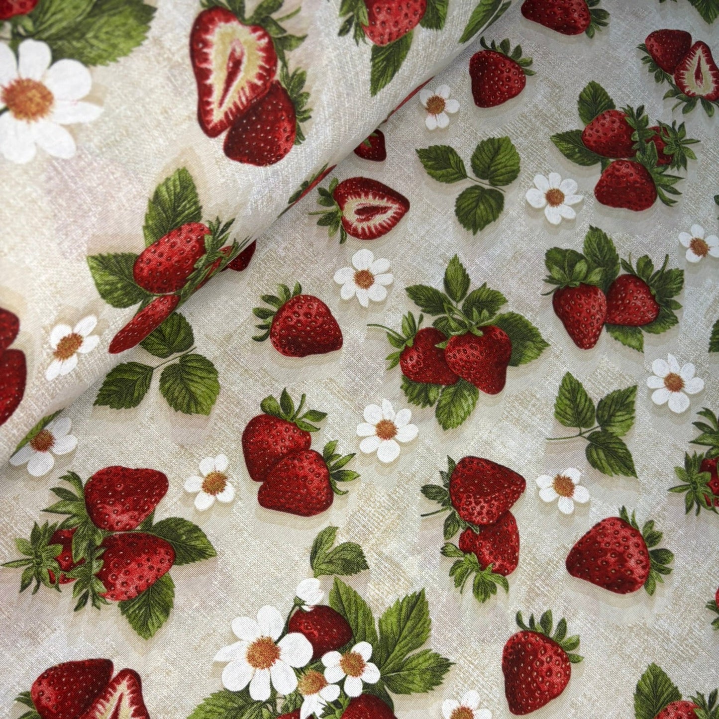 Loneta Española - Fragola fresas