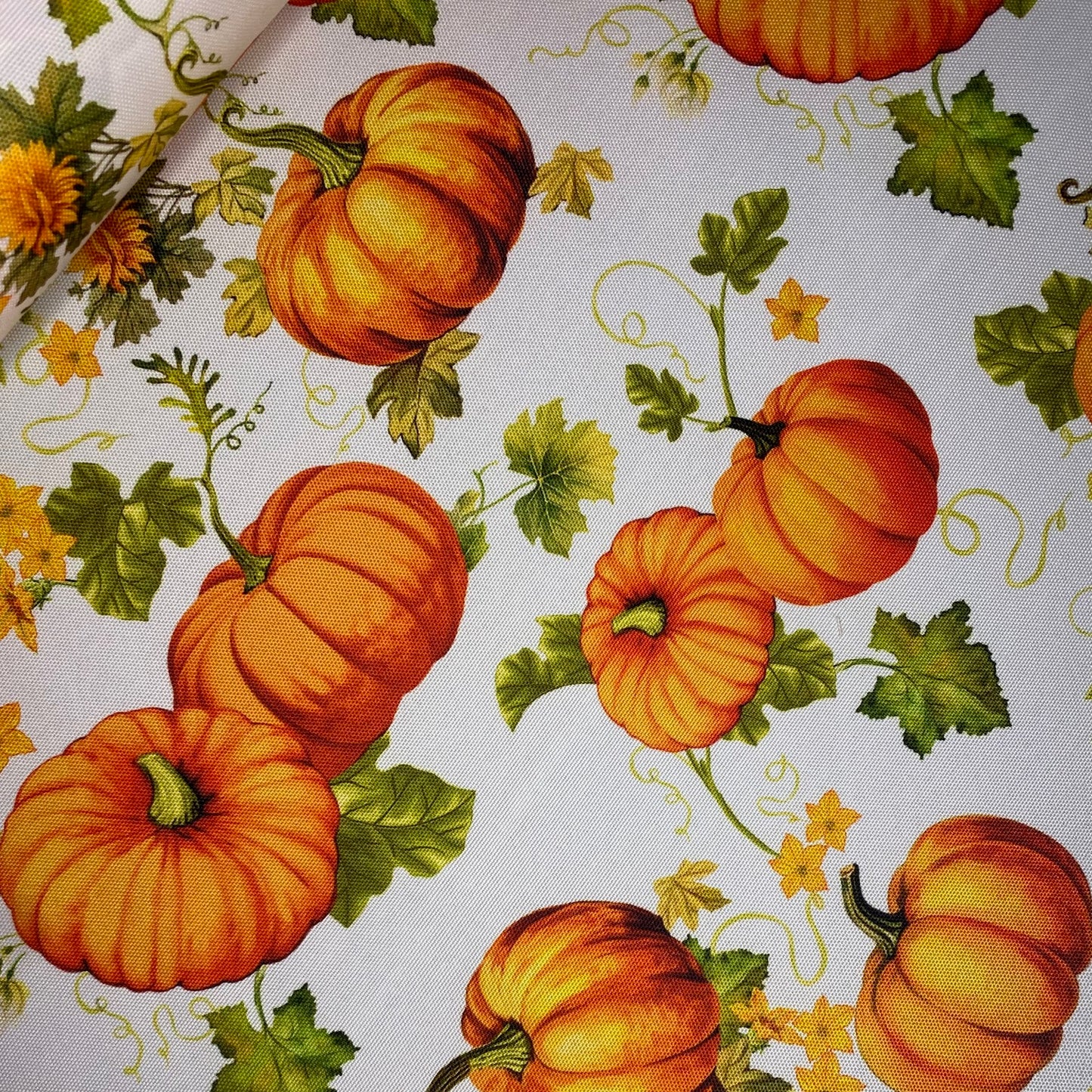 Half Panama Pumpkin Patchwork