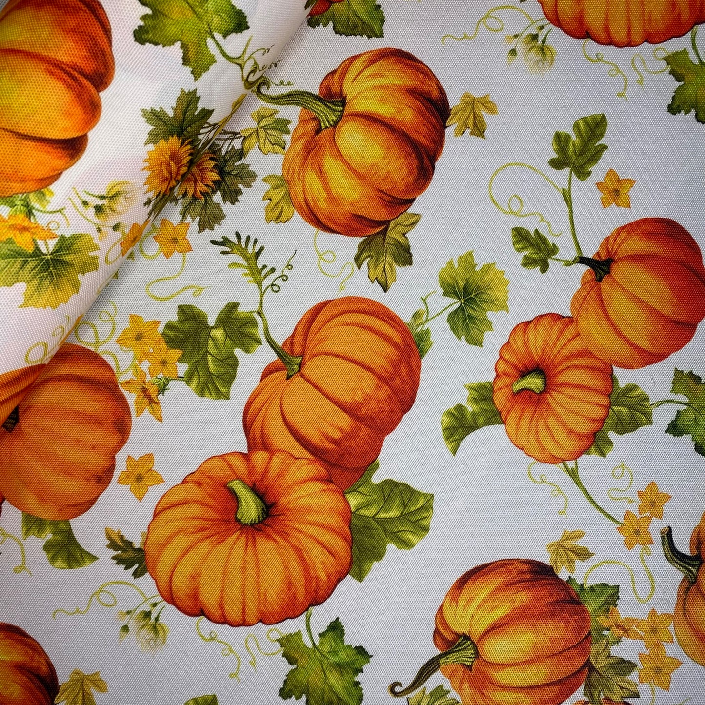 Half Panama Pumpkin Patchwork