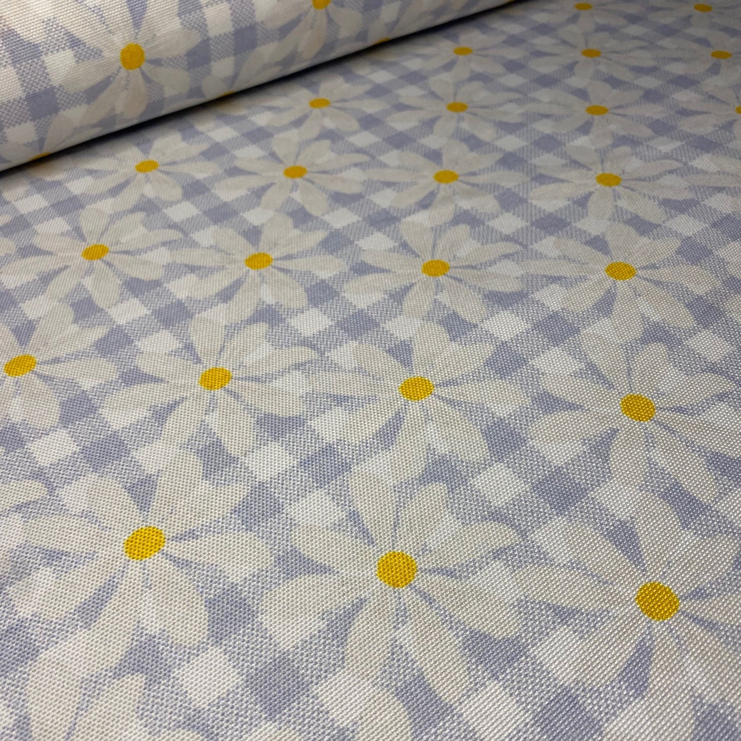 Half Panamá Daisy Scottish