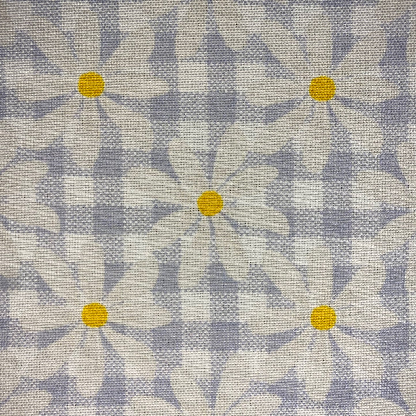 Half Panamá Daisy Scottish
