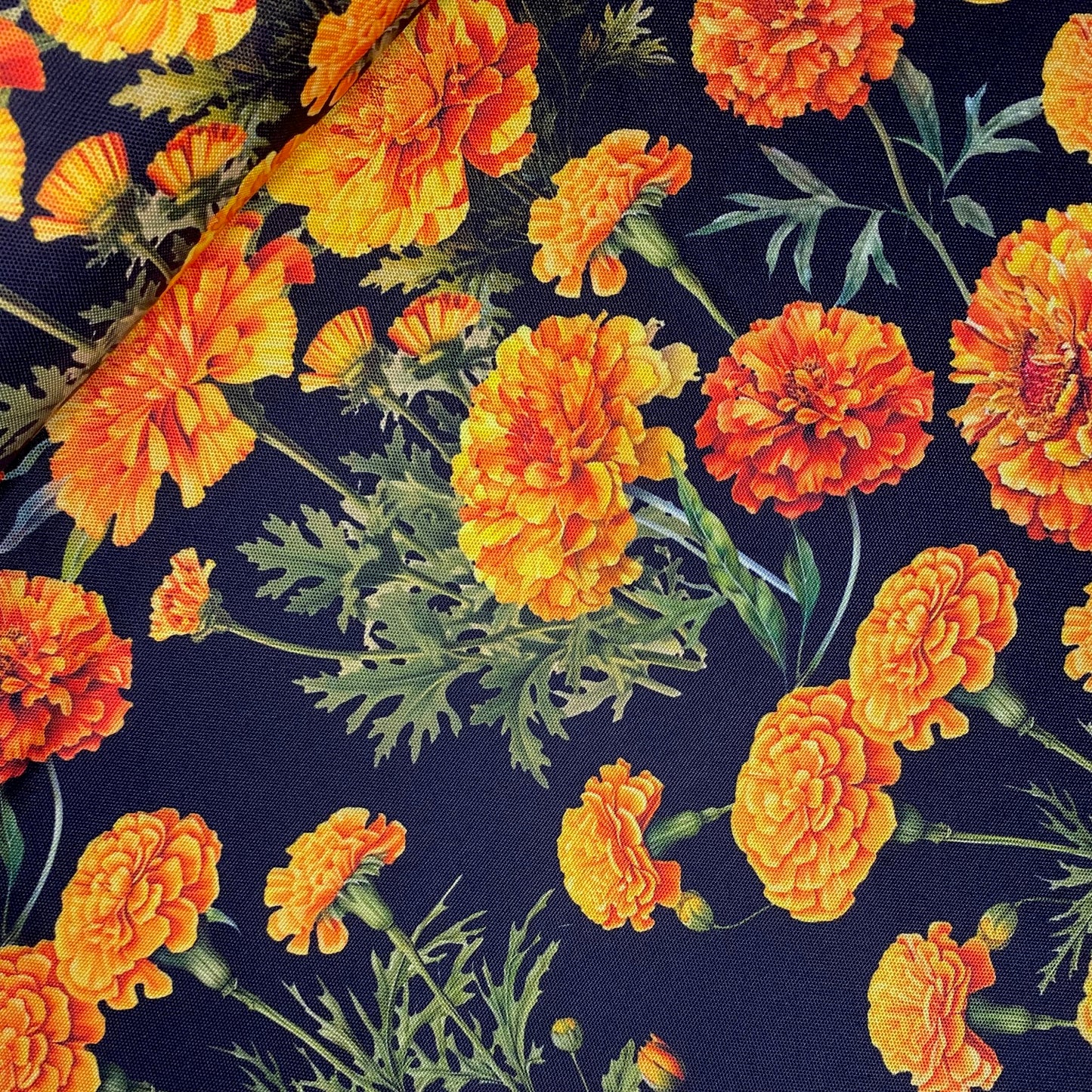 Half panama Cempasuchil fondo negro