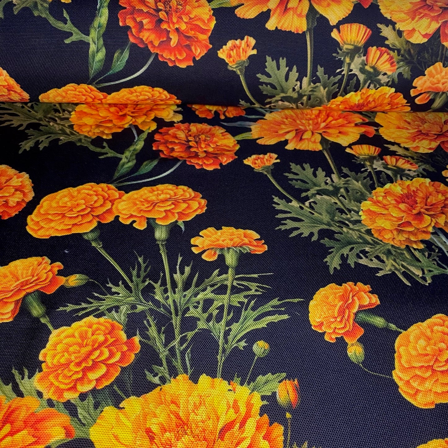 Half panama Cempasuchil fondo negro