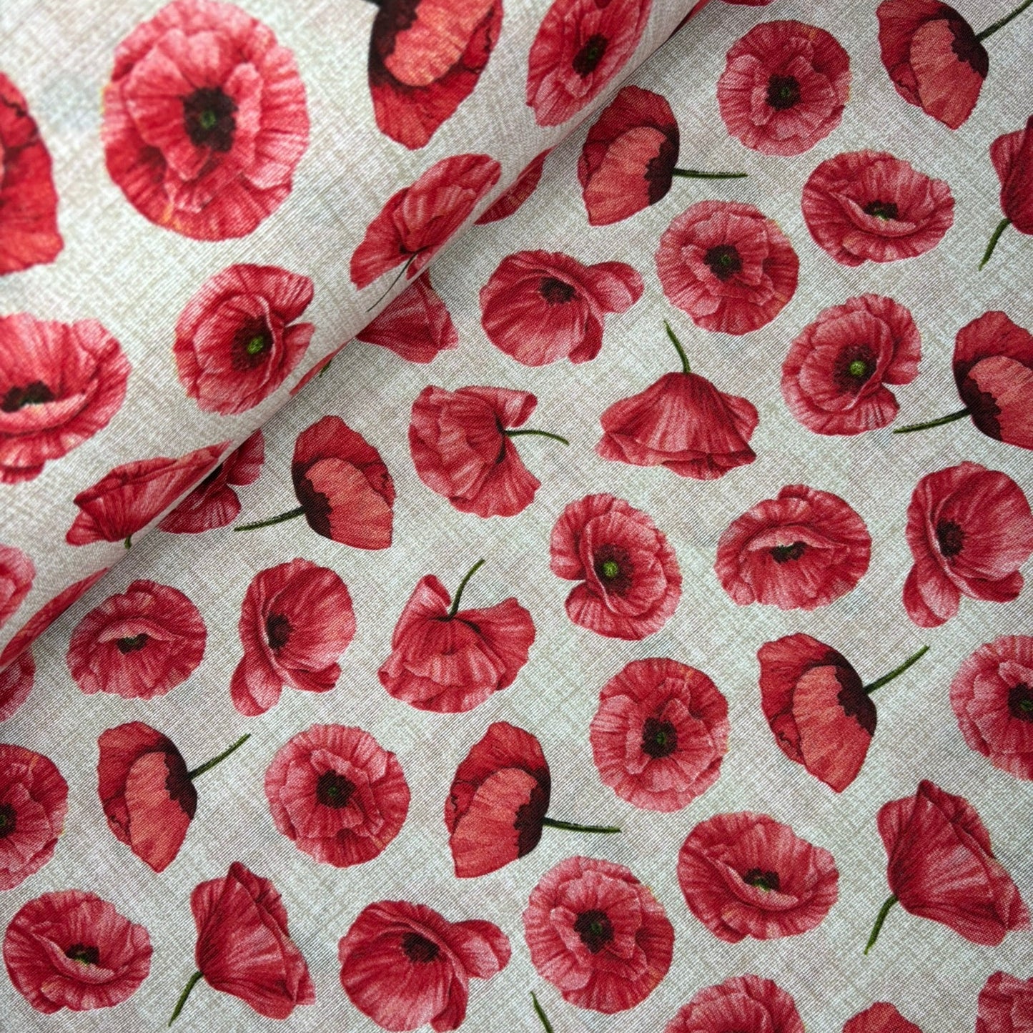 Loneta Española - Carola