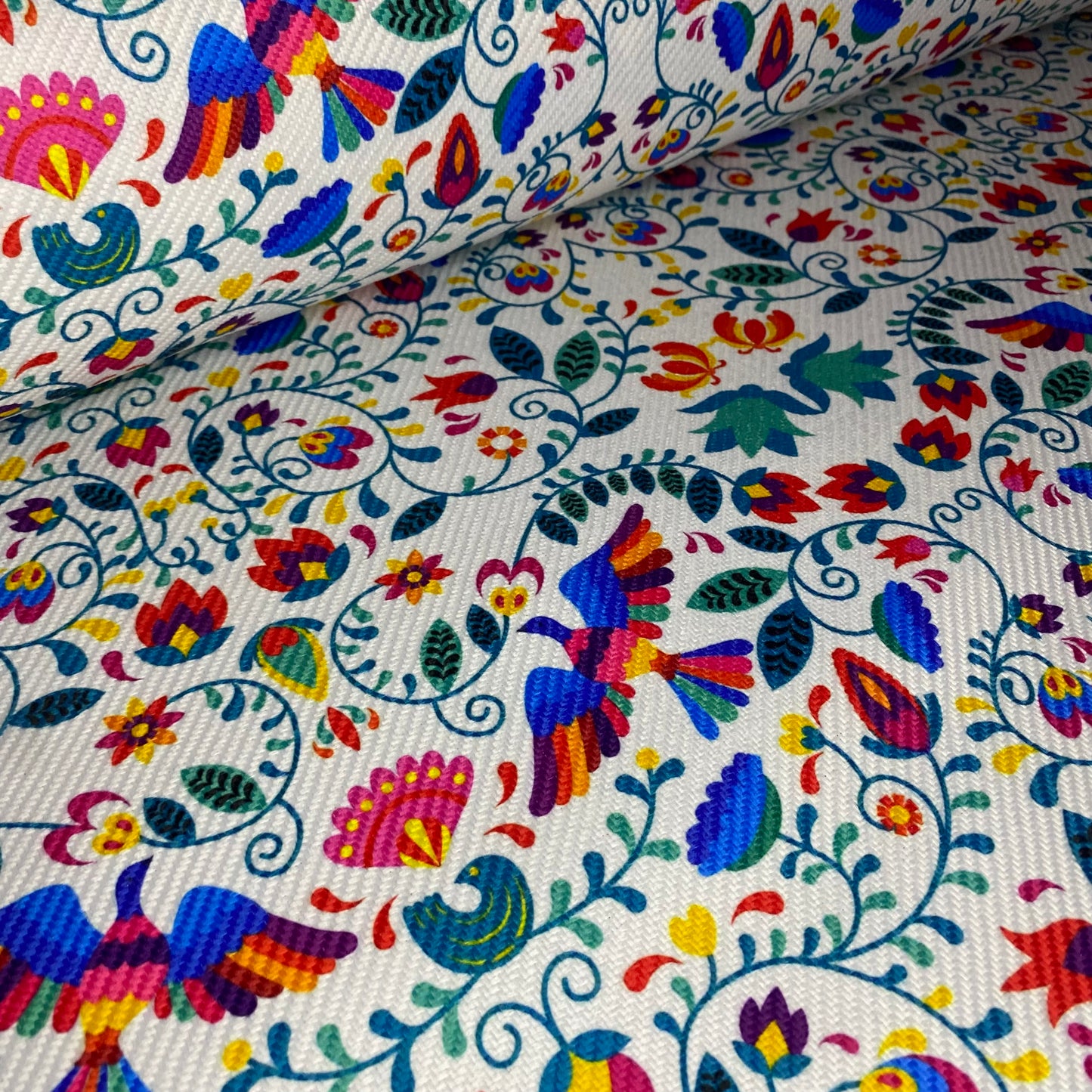 Gaucho Otomi nexus fondo blanco