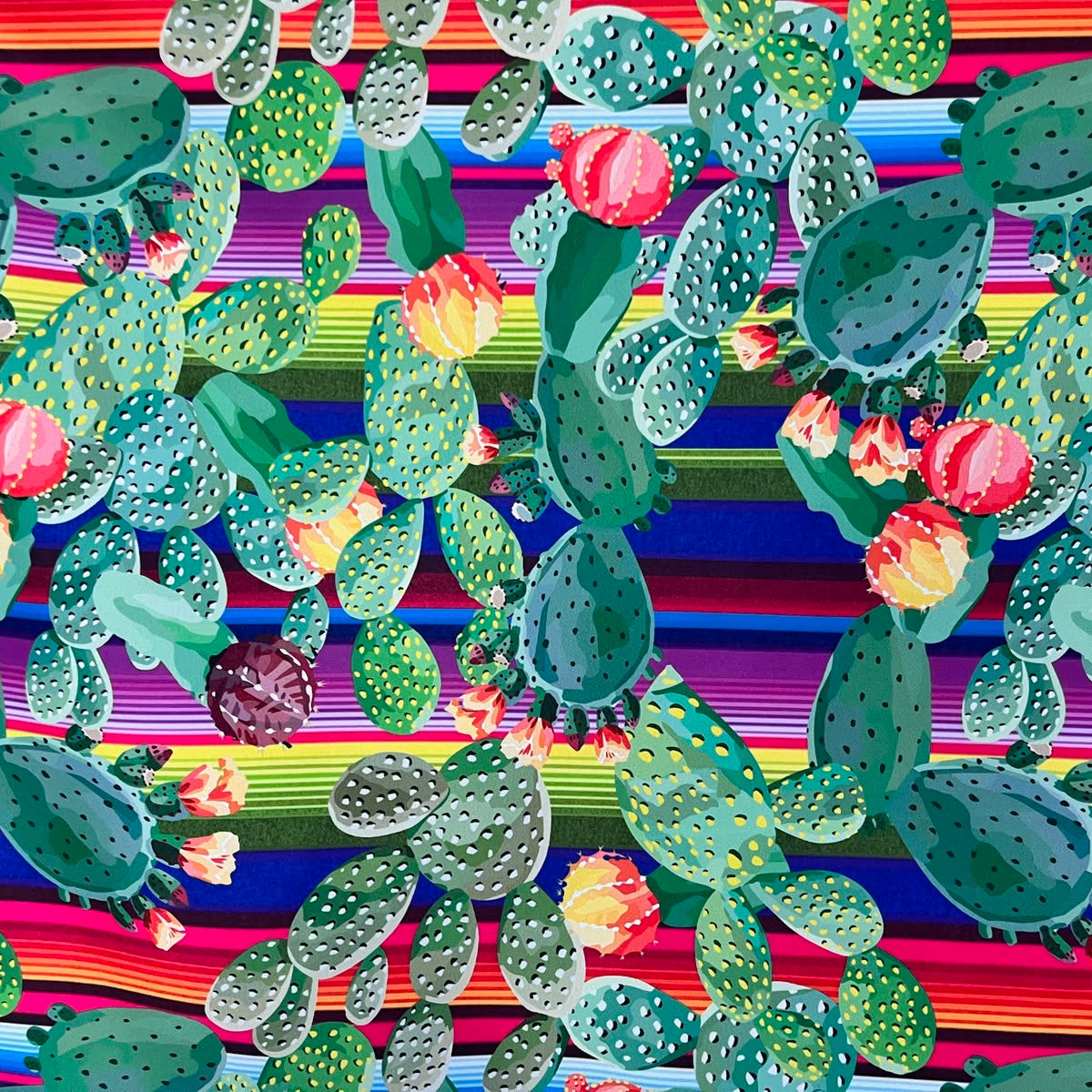 Tafeta 600 Patria Nopales